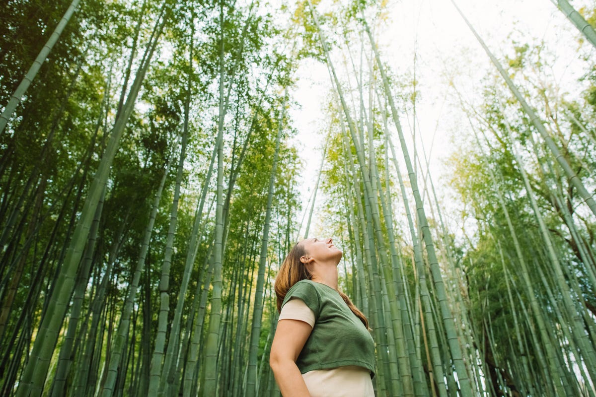 Woman in a bamboo forest.