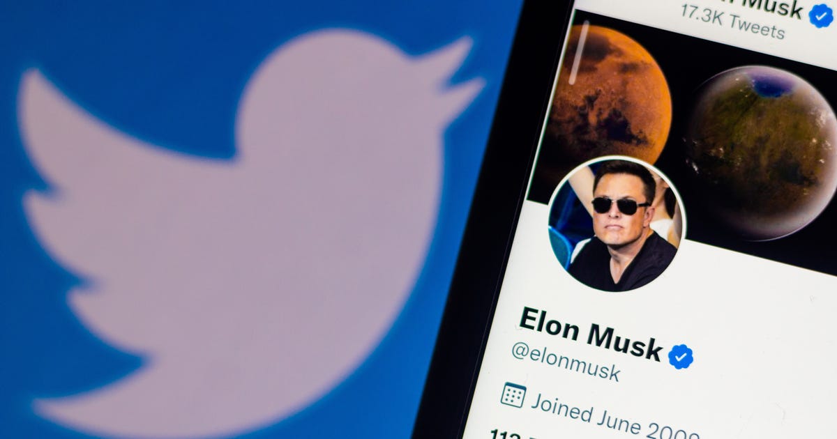 Elon Musk Says He is Pausing $44B Twitter Deal: Here is What You Have to Know