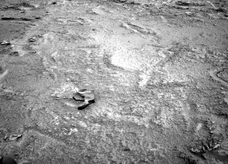 Black and white Mars ground photo shows roughish terrain with a prominent but small and vaguely chicken-shaped rock casting a shadow below its drumstick.