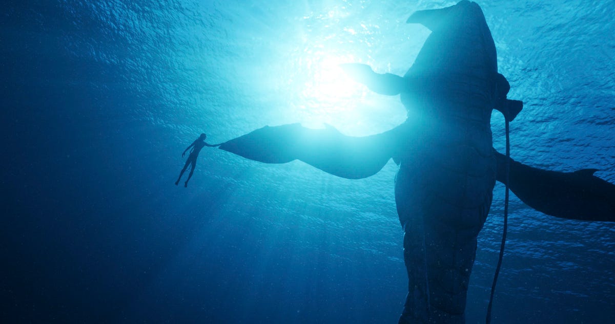 Silhouetté par la lumière du soleil au-dessus des vagues, un humain nageur tend la main vers la nageoire d'une créature marine géante dans Avatar 2 Le poids de l'eau.