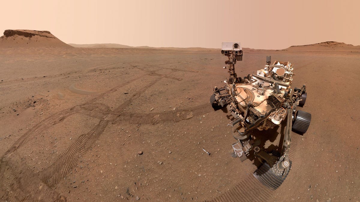 NASA Perseverance rover poses in a full-body selfie on a brown, pebbly Mars landscape. Horizon line in the distance, wheel tracks on the ground, sample tubes on the surface, including one right in front of the car-sized wheeled robot.