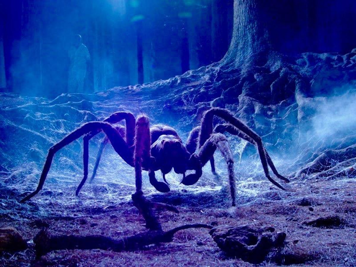 New spiders named after 'Harry Potter,' 'LOTR' arachnids - CNET