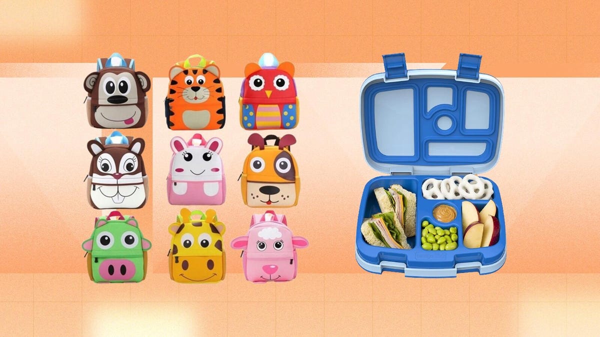 The 23 Best Lunch Boxes, Water Bottles, and Food Containers for School  Lunches