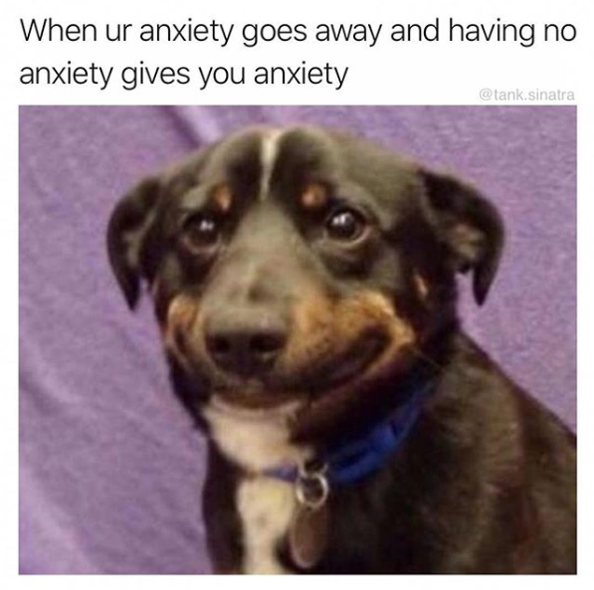 Memes on Instagram, Reddit bring comfort to people struggling with  depression - CNET