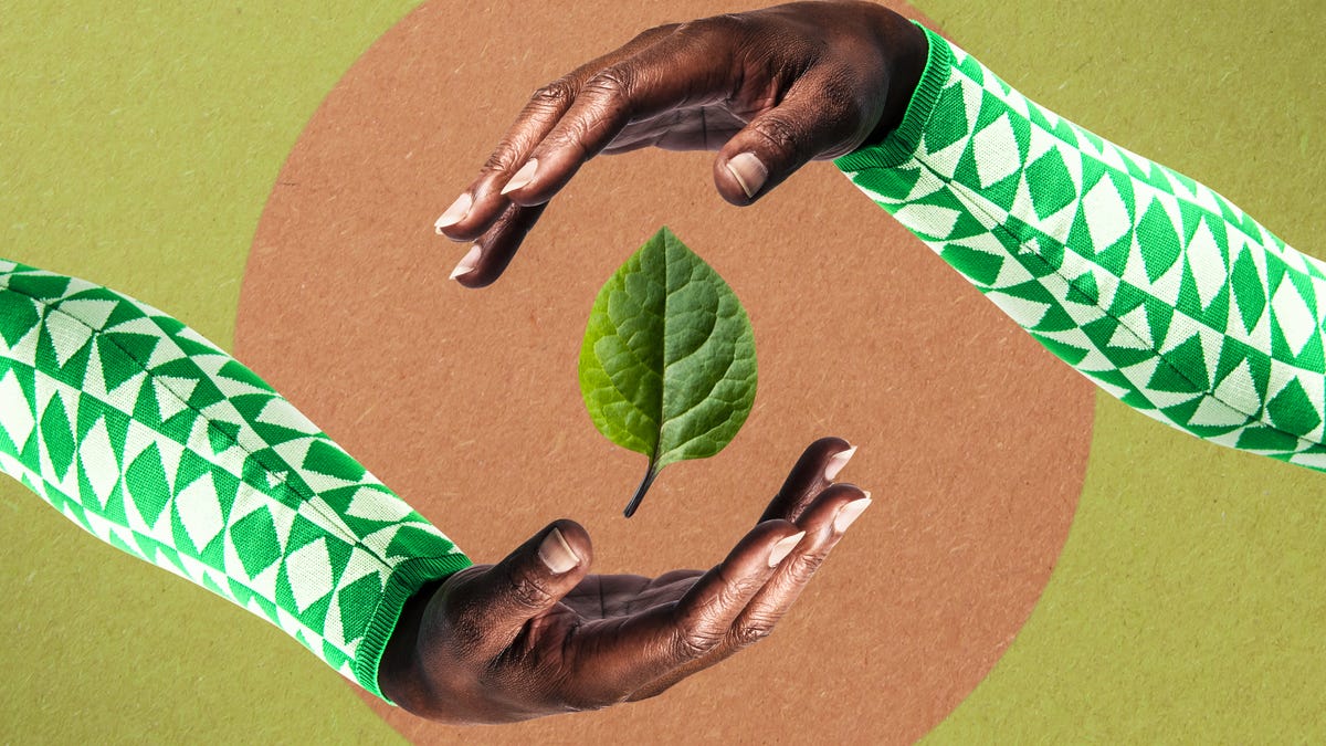 Two hands surrounding a leaf against a soft green background