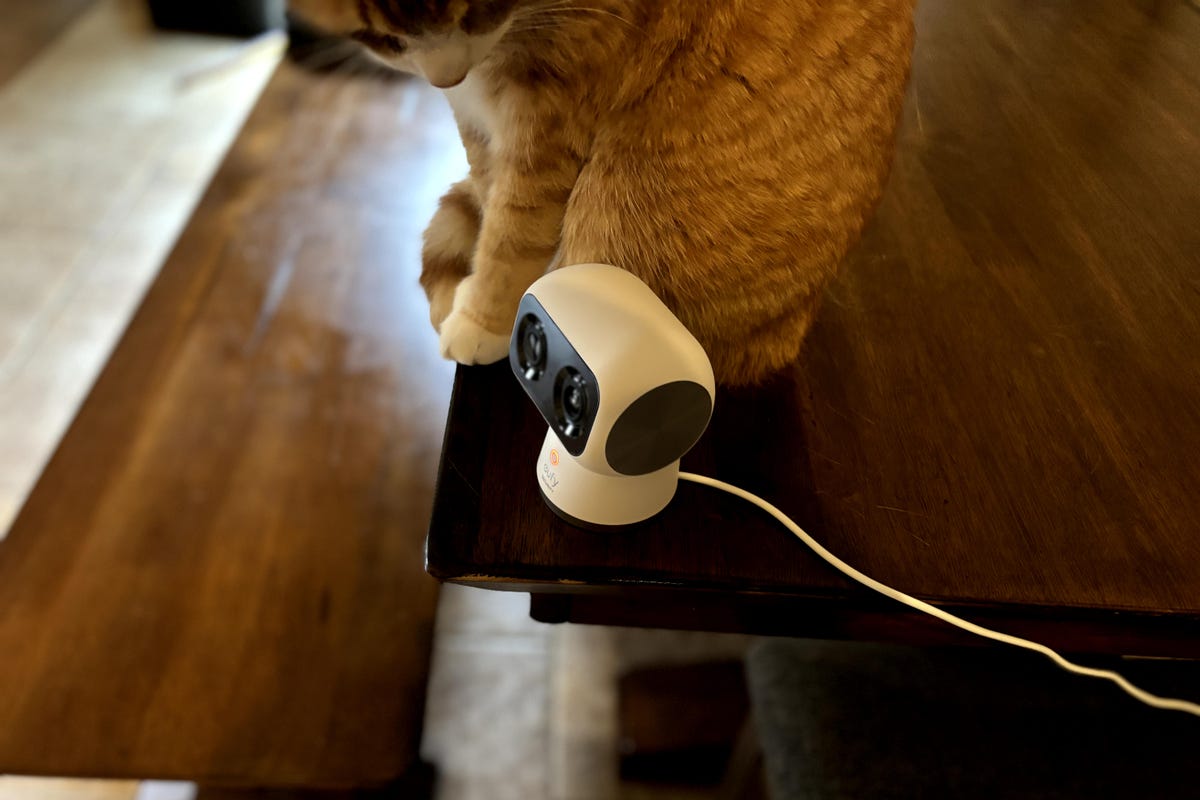 La cámara Eufy S350 se encuentra sobre una mesa de madera con un gato curioso.