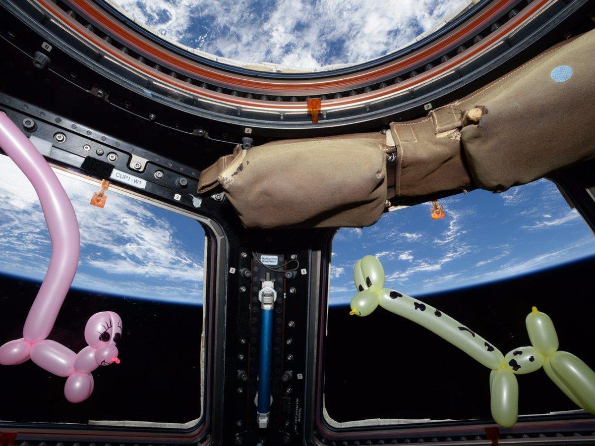 NASA astronaut Randy Bresnik adopts balloon animals in space - CNET