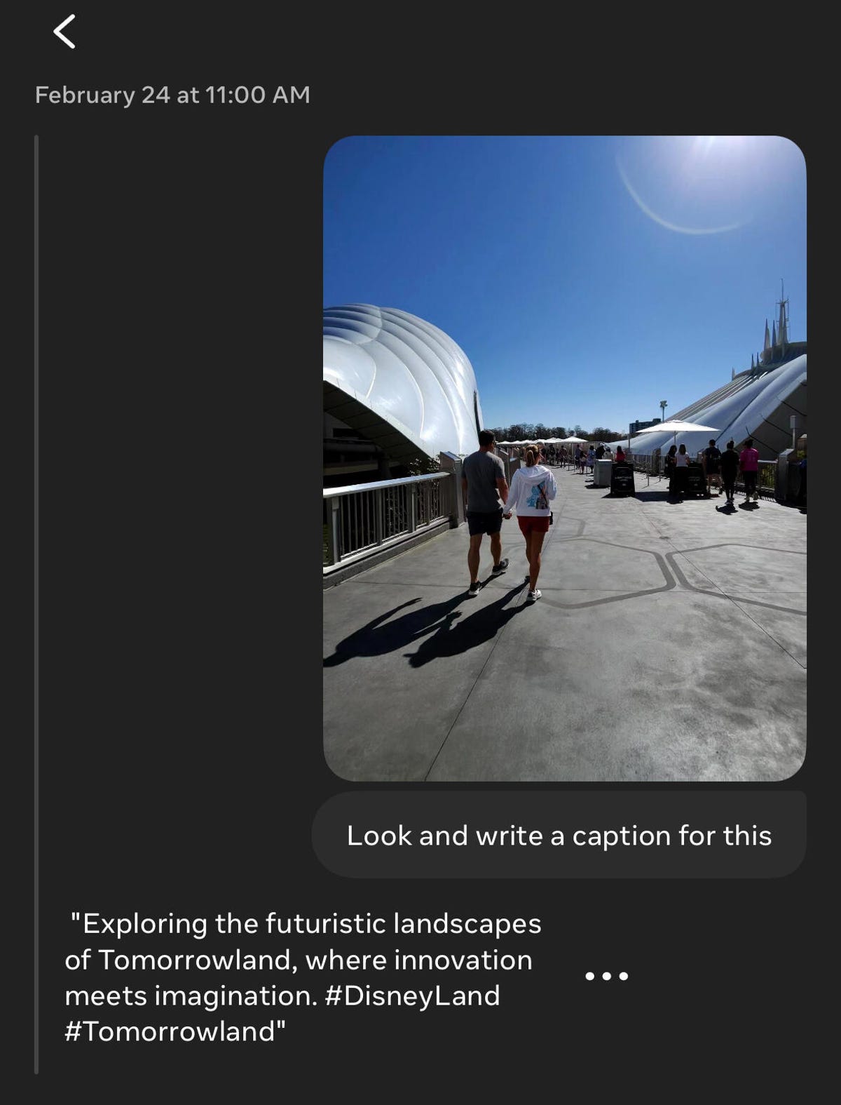 A chat with an AI assistant which is recognizing a photo of Disneyland