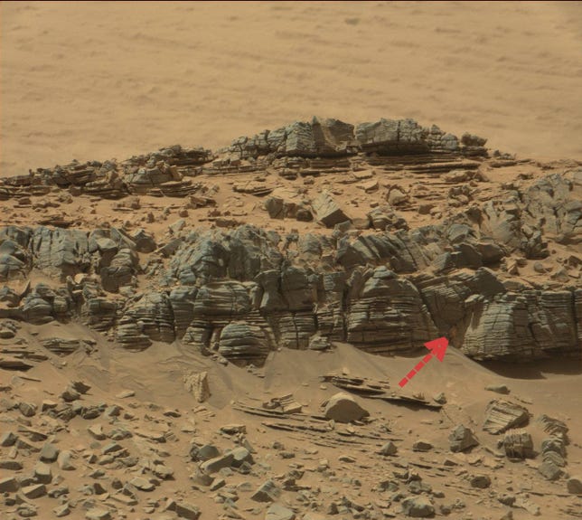 Mars crab full image