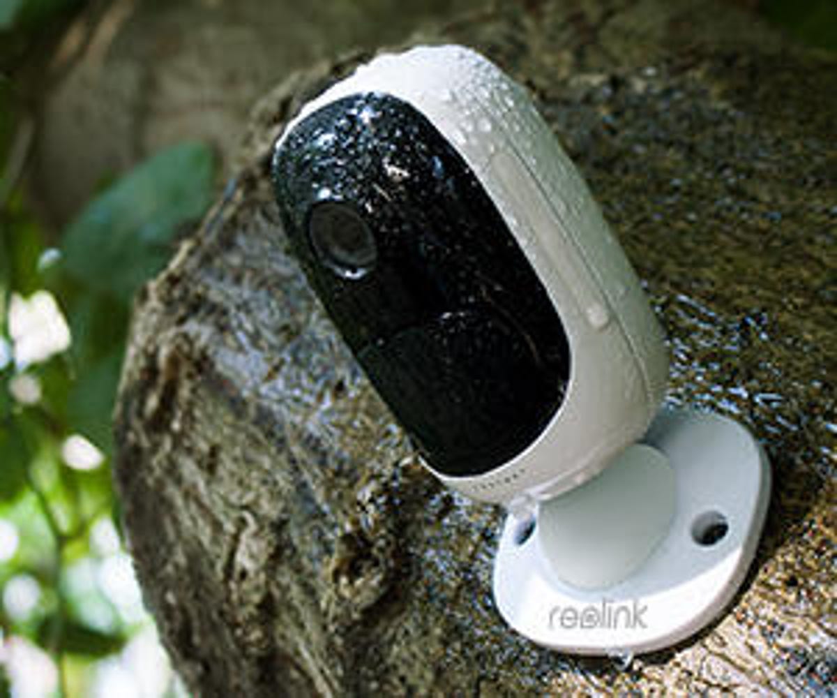 Una cámara Reolink posada sobre un tronco bajo la lluvia.