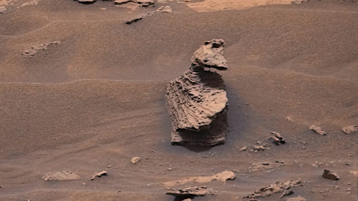 A rock shaped like a duck turning its head to look over its back sits on sandy ground on Mars.