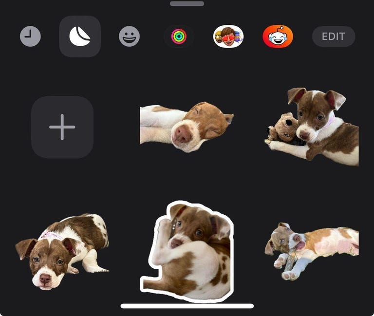 Cinco imágenes de un perro marrón y blanco.
