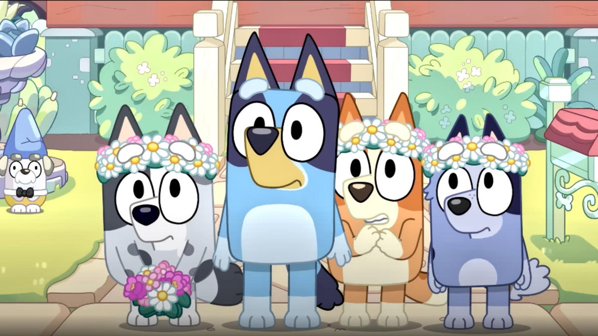 Still from the trailer of the Bluey special 'The Sign' showing the Heeler family at a wedding.