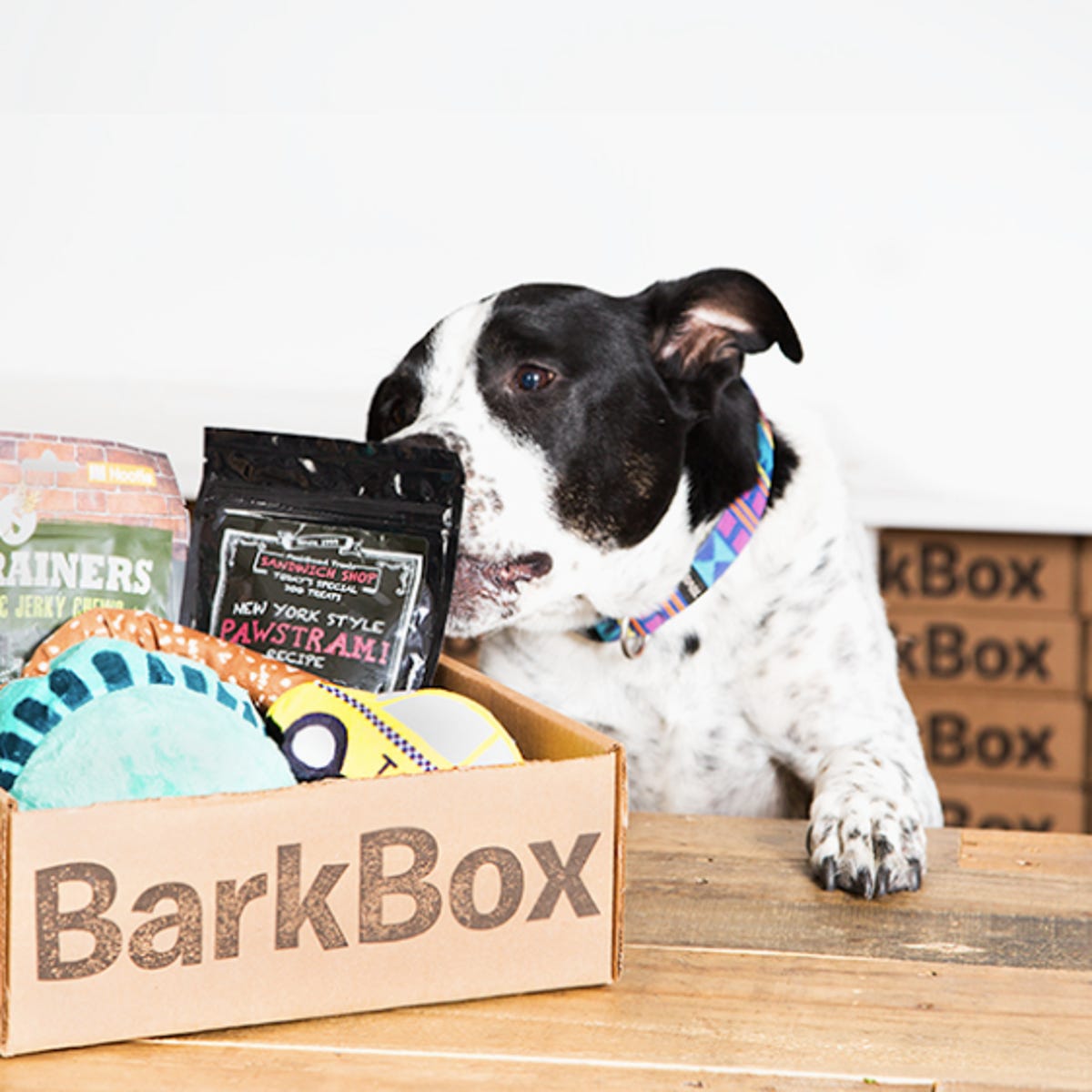 5 Subscription Box Gifts For Your Dog