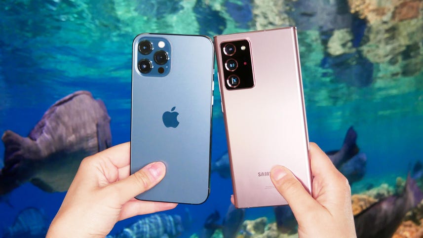 Comparing iPhone 12 Pro Max and Note 20 Ultra cameras