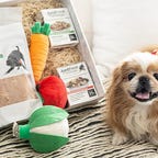 A dog lays beside a box featuring dog food, treats and toys from Just Food for Dogs.