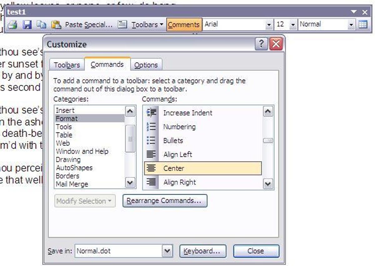 Microsoft Word 2003 Customize dialog box