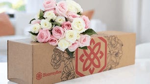 bloomsybox.png