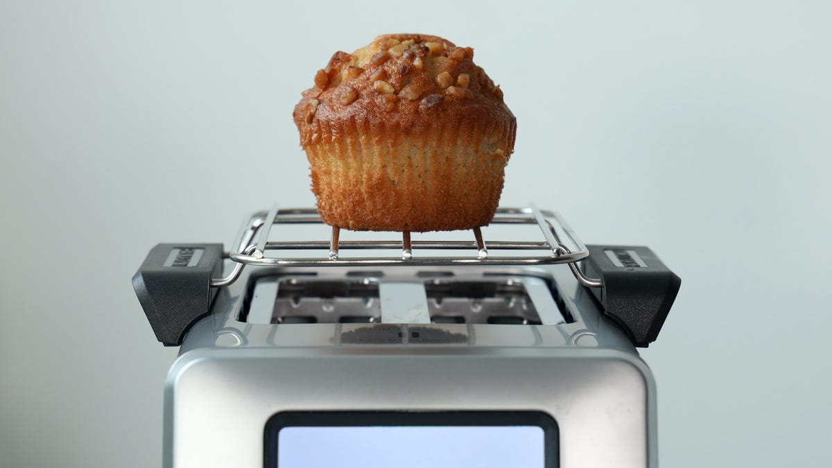 Muffin on the R270's warming rack