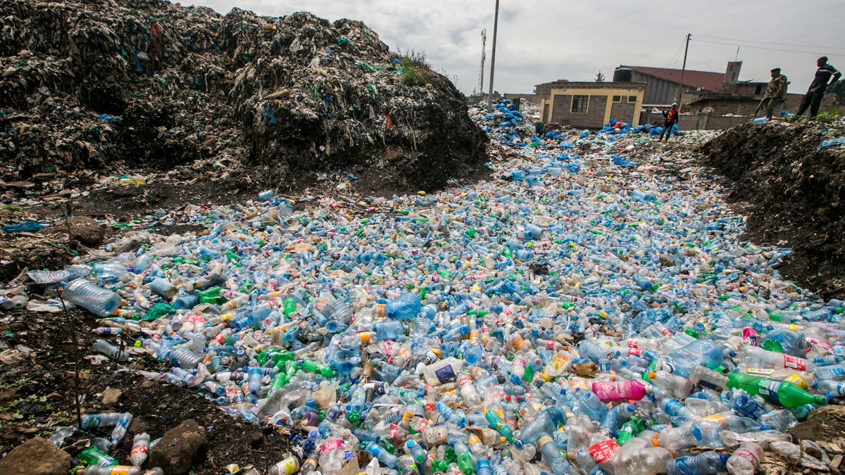 Life Of People Living Around The Dandora Rubbish Dump
