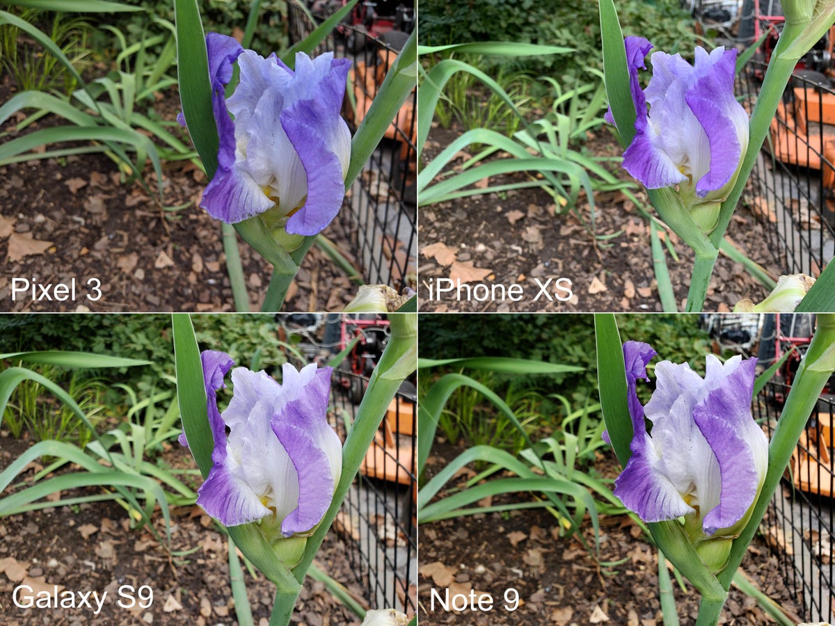 pixel-3-comparison-all-4-phones-flower