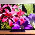 LG C OLED TV