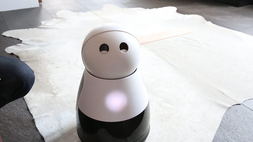 Cute little robots are coming to record your life