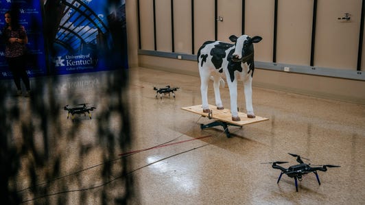cattle-drones-4