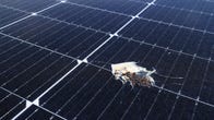 Bird poop on a solar panel.