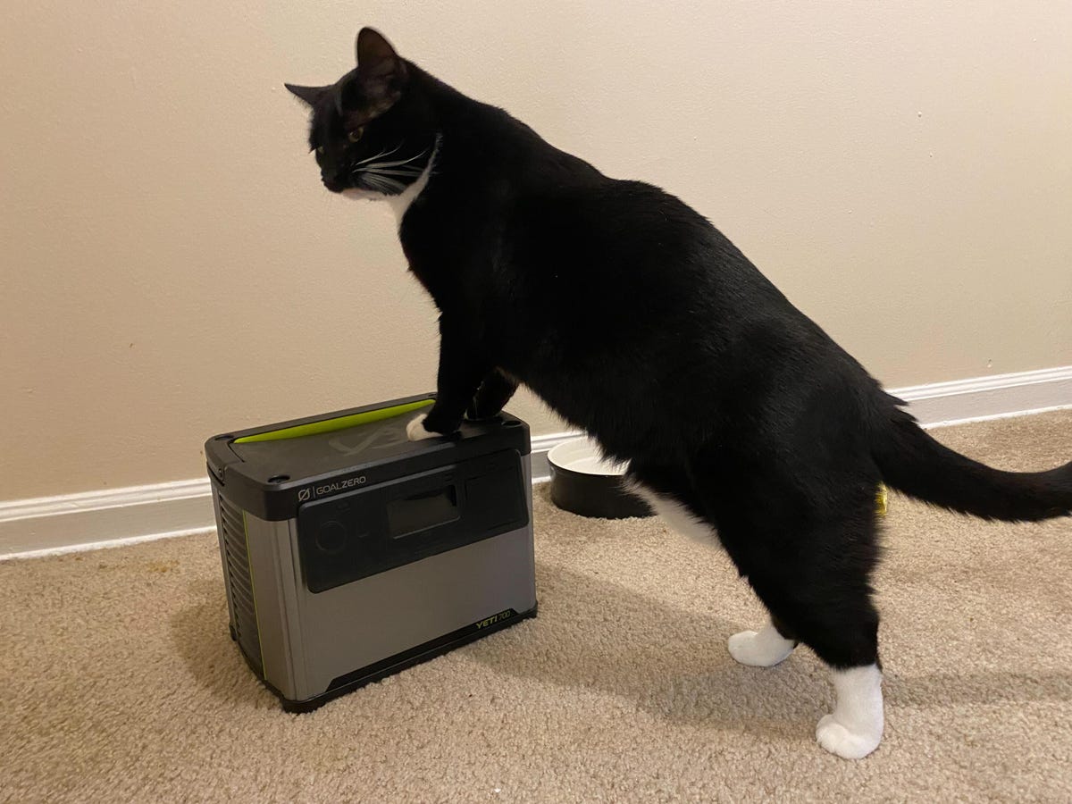 A black and white cat standing with his forelegs on top of a gray and black portable power station.