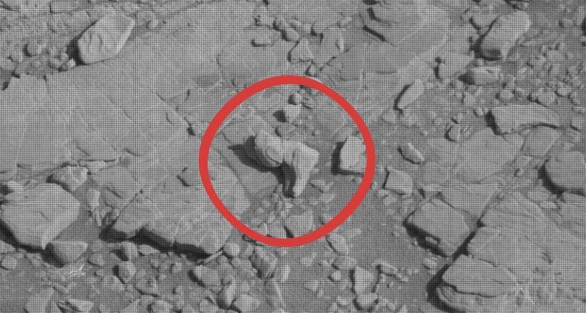 Small pebble shaped like a leg with other pebbles in black and white closeup of Martian surface.