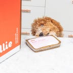 ollie dog food delivery service