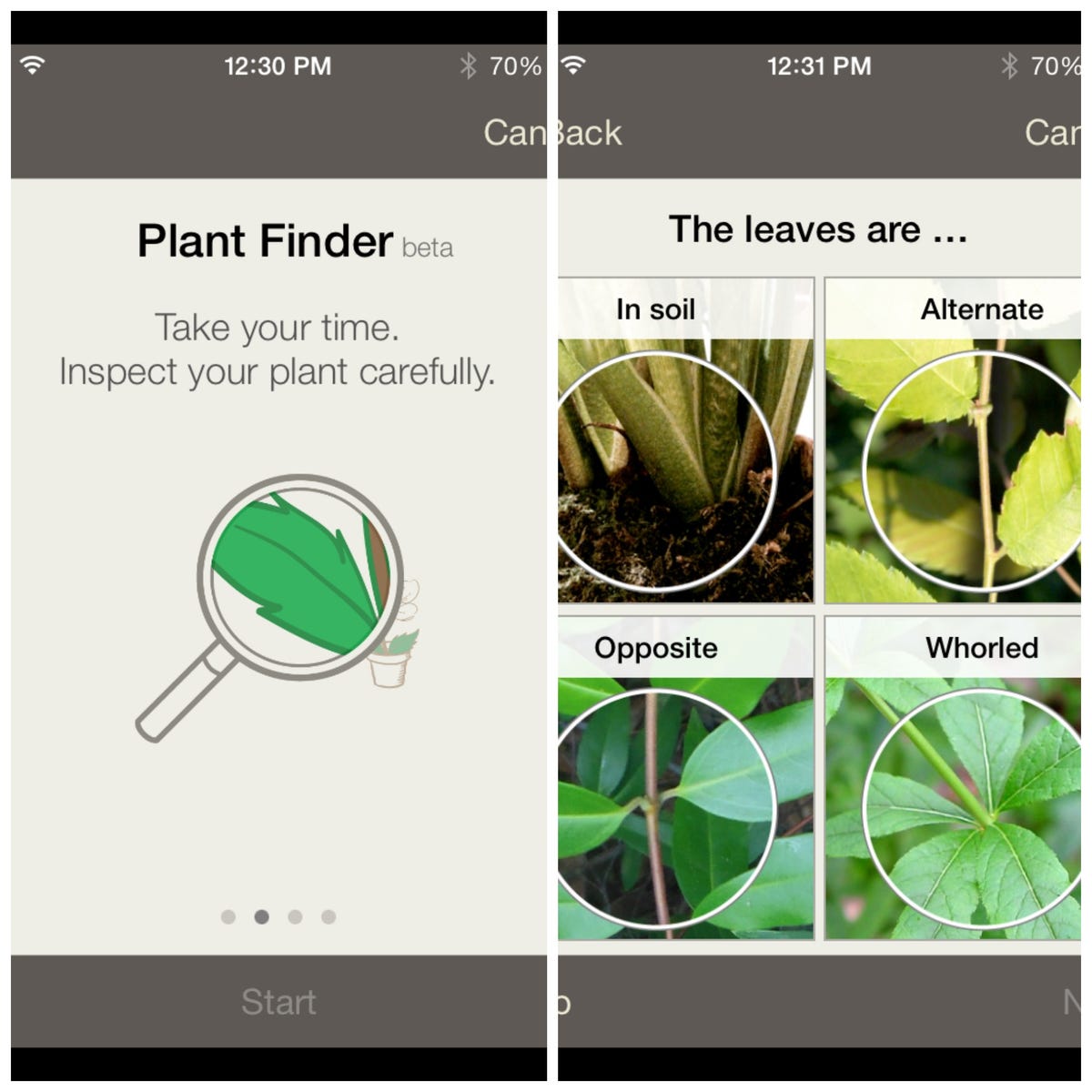 plant-finder-collage.jpg