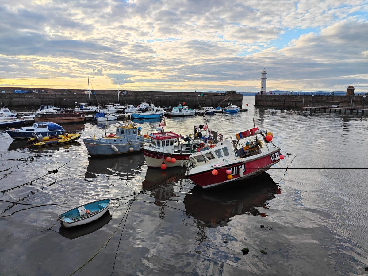Image of a harbor at sunset with boats tied up.