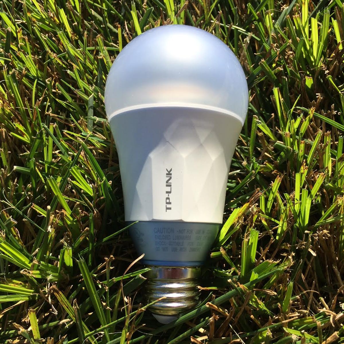 muscle Hold Meekness TP-Link LB120 Smart Wi-Fi LED Bulb with Tunable White Light review: TP-Link  introduces affordable, Alexa-ready smart bulbs -- no hub needed - CNET