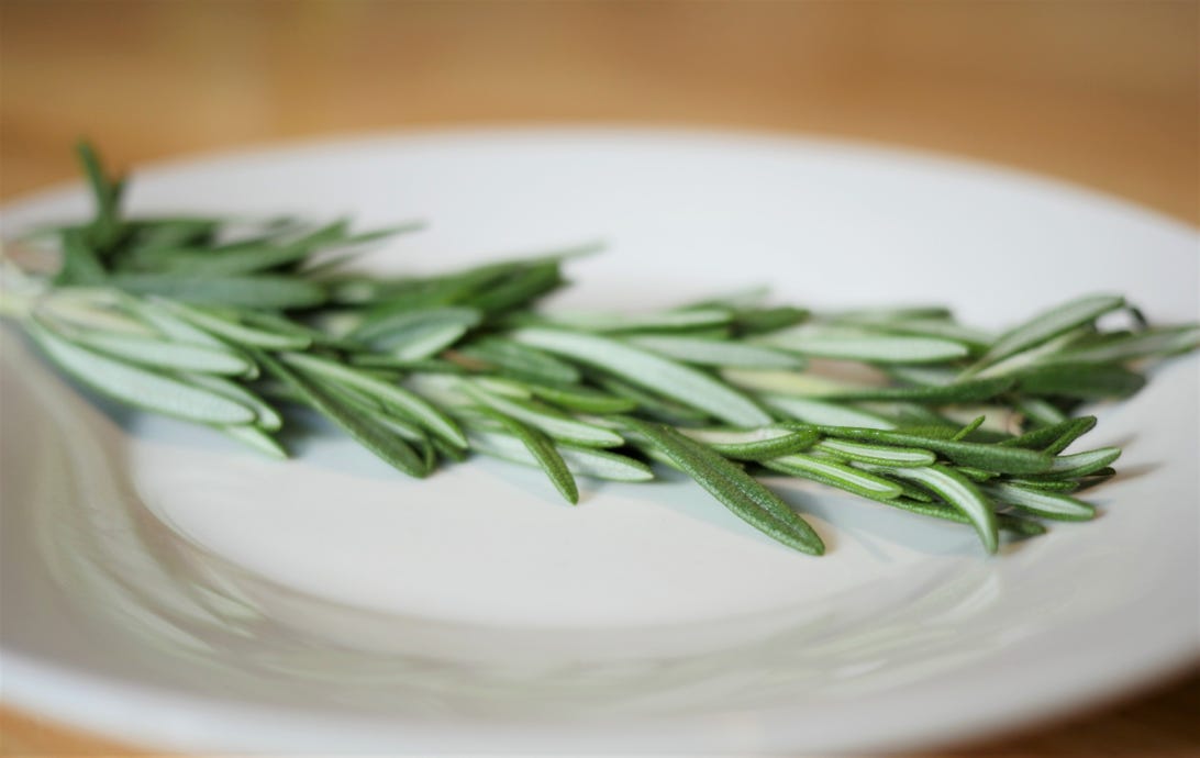 A sprig of rosemary on a white plate