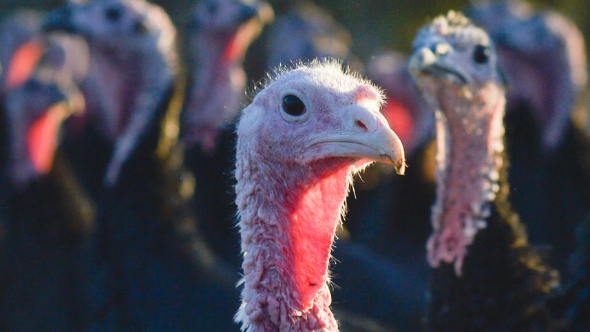 Top 5 tech turkeys of the year (2018 edition)