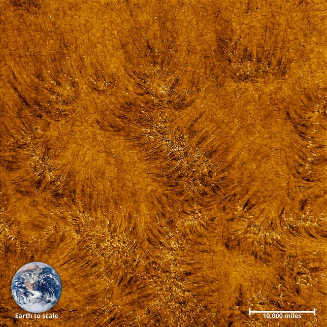 Swirling, fur-like orange view of sun's atmosphere with a tiny Earth in the corner for size.