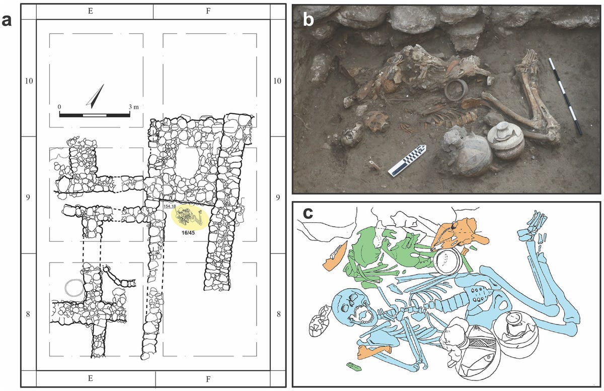 Various diagrams and one photo of the remains and burial site.