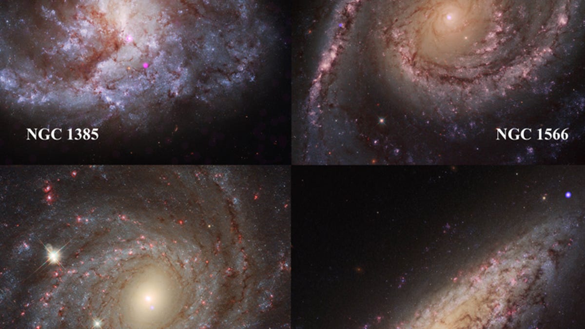 Four galaxies show evidence for growing black holes
