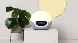 Lumie alarm clock on a gray pedestal next to a dark green plant, with a yellow circle on a wall behind it