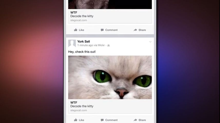 Hide photos on Facebook with Wickr's cat decoys