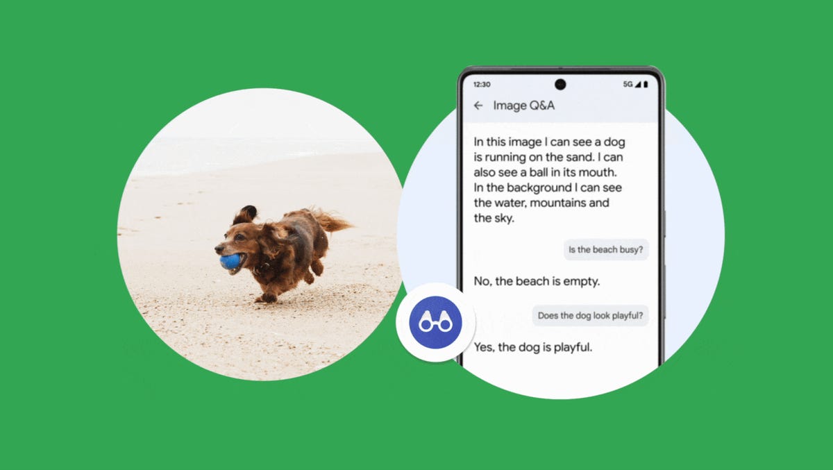 Screengrab from the Lookout app of a dog running on a beach, with follow-up questions