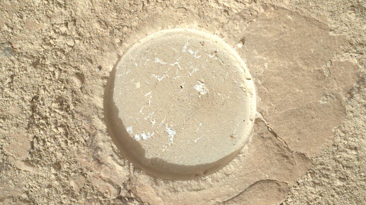 A round patch has been abraded out of a beige Martian rock, revealing light veins inside.