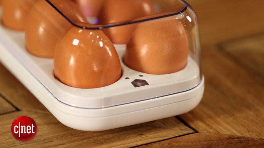Counting your eggs before they hatch with the Quirky Egg Minder.