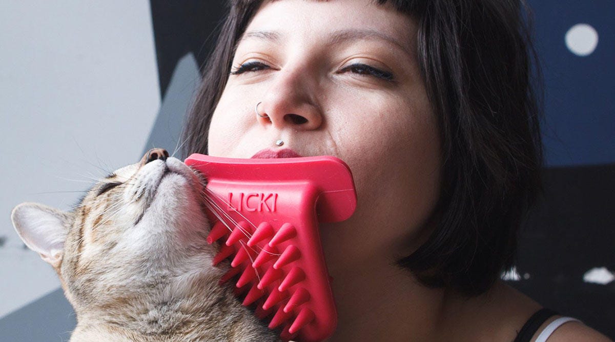 cnet-reviews-licki-cat-brush