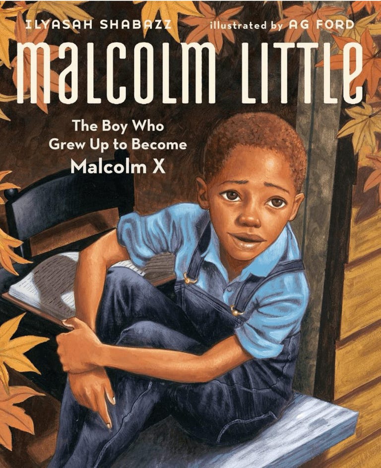 003-media-for-the-moment-malcolm-little-childrens-book