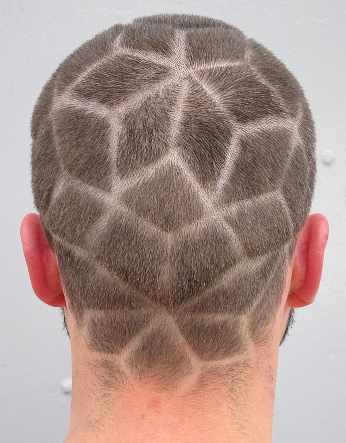 A back view of Nick Sayers' geometric haircut.