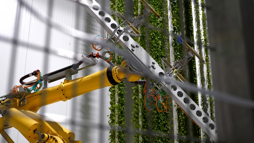 Inside a New Vertical Farm Full of Robots
