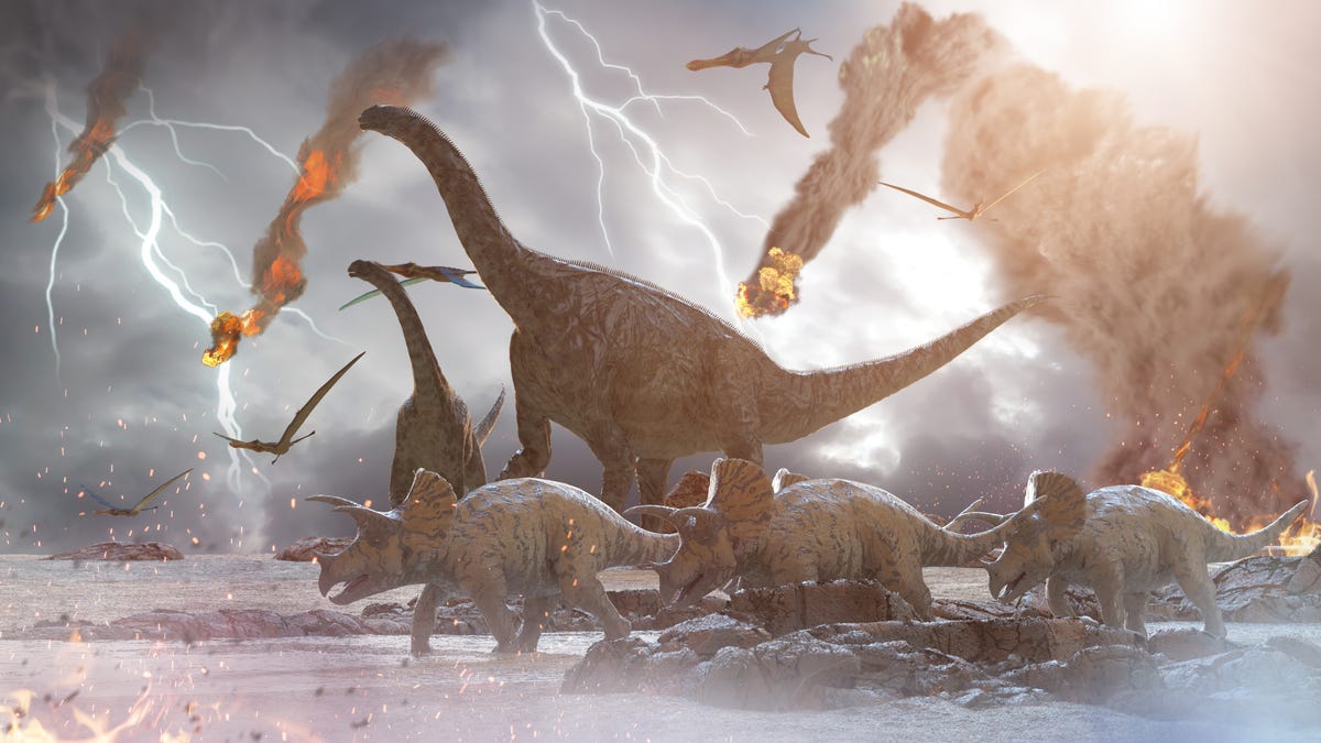 researchers-say-we-re-in-the-sixth-mass-extinction-here-s-why-it-matters